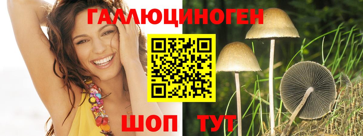 Галлюциногенные грибы Psilocybine cubensis Топки